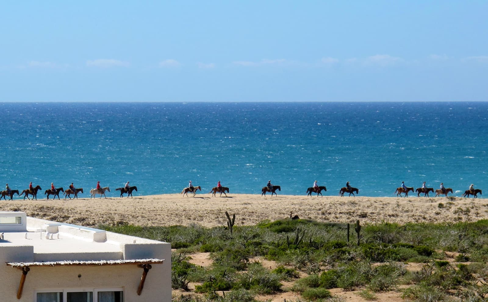 Horseback ride on the dunes