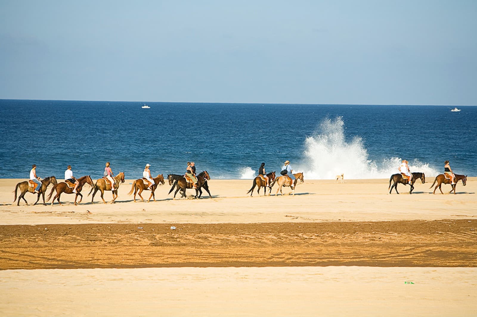 Horseback ride beside crashing waves