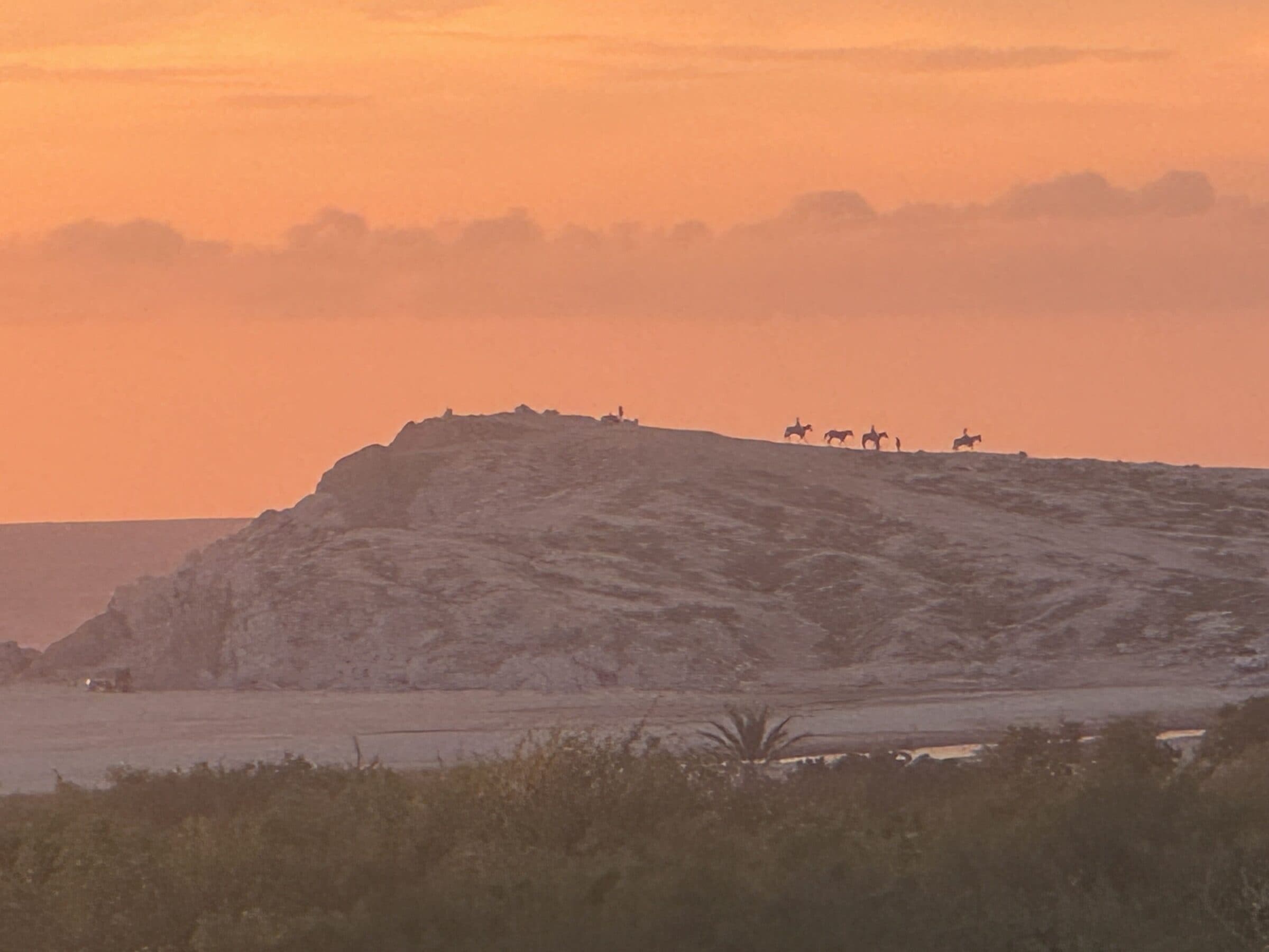 Horseback riders crossing a coastal ridge at sunset
