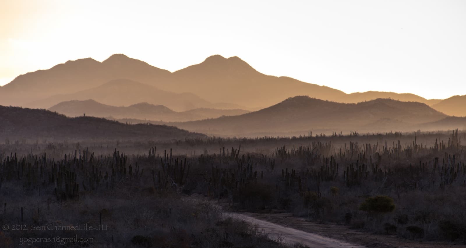 Mountain fog at sunrise, orange light