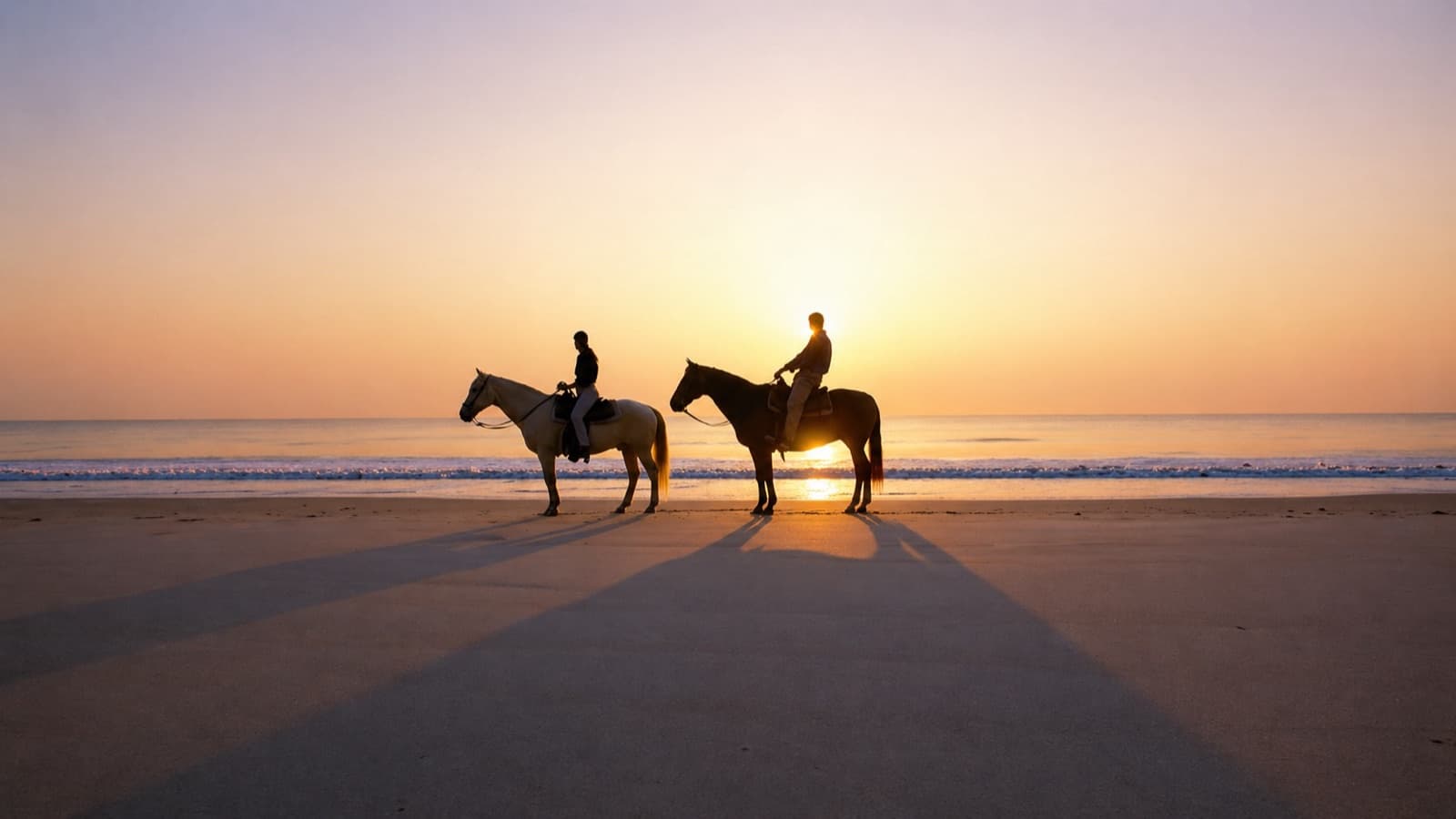 Horseback ride along the beach at sunset