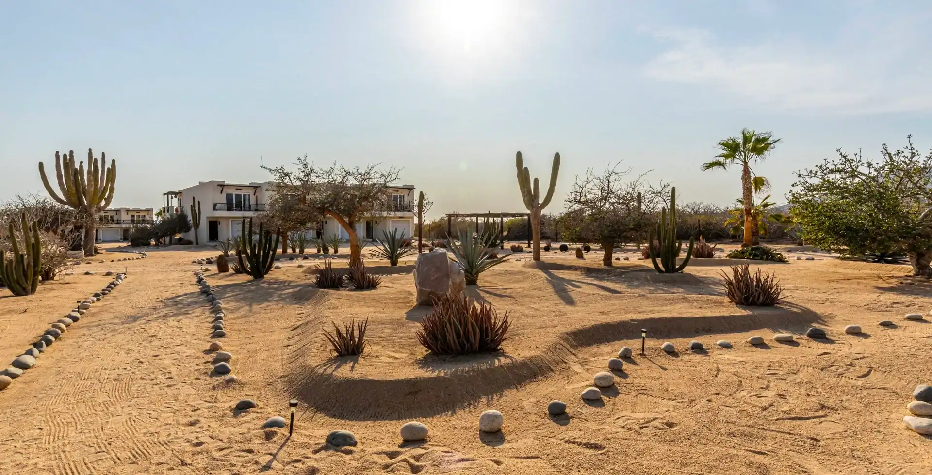 Desert gardens at Kaleidoscope at Prana del Mar, Baja California Sur